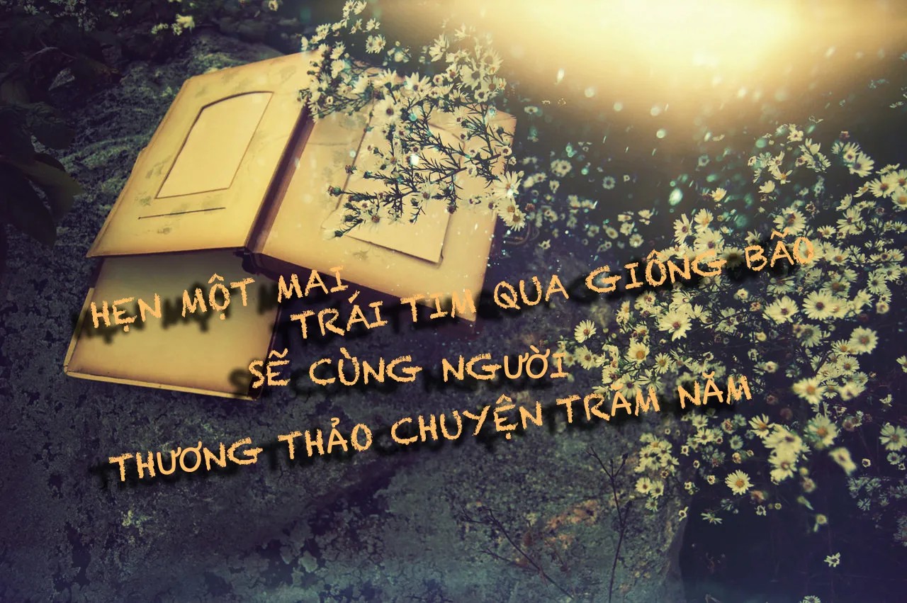 Những câu thơ hay về tình yêu khiến bạn bồi hồi thổn thức 3