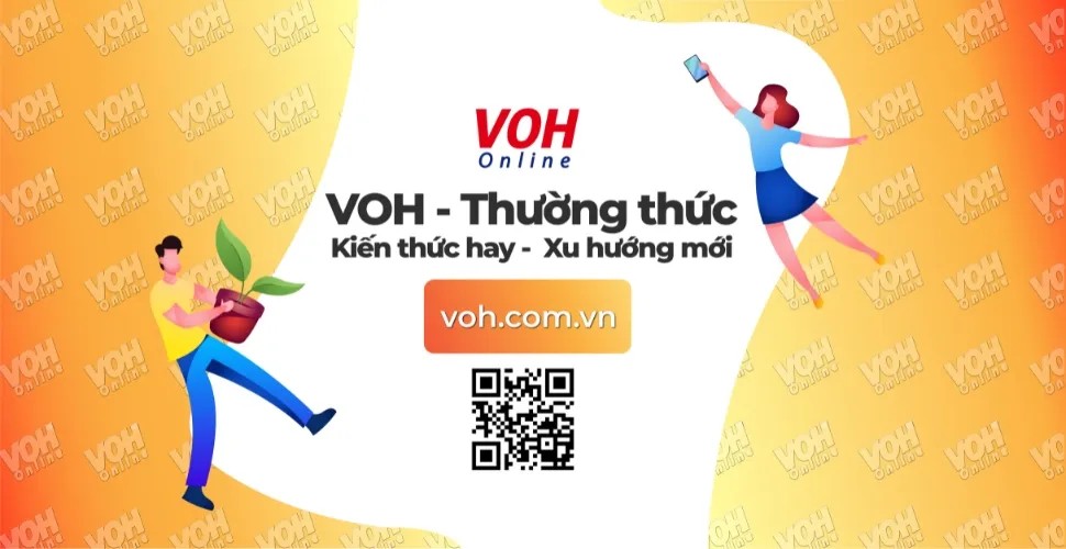 Trích dẫn sách hay về tình yêu