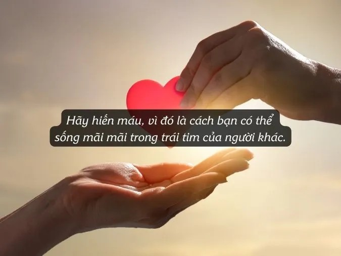 Hình ảnh giọt máu đỏ trên nền trắng, biểu tượng cho sự sống và hy vọng