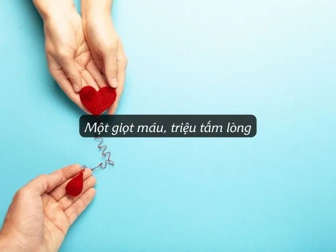 cau noi hay ve hien mau 6