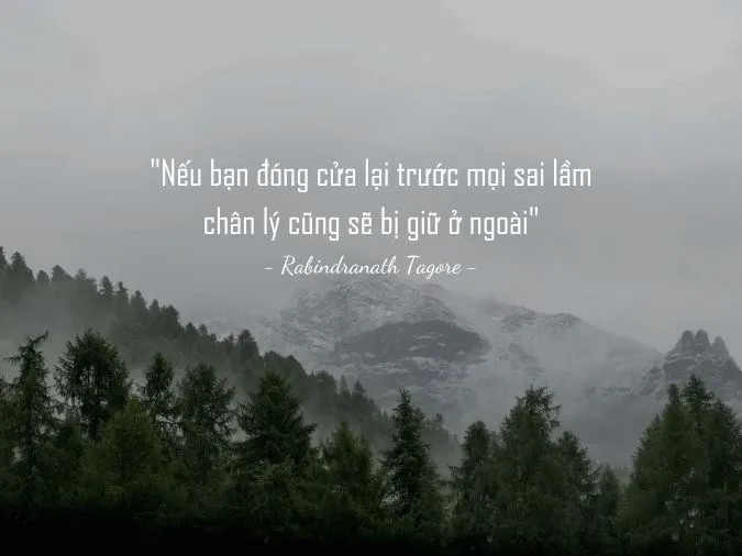 Những câu nói hay về sai lầm đáng suy ngẫm 2