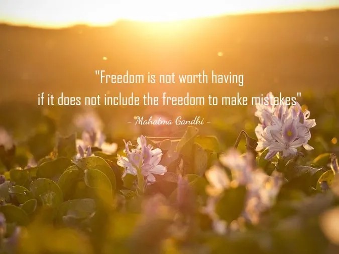 Những câu nói hay về sai lầm đáng suy ngẫm 7