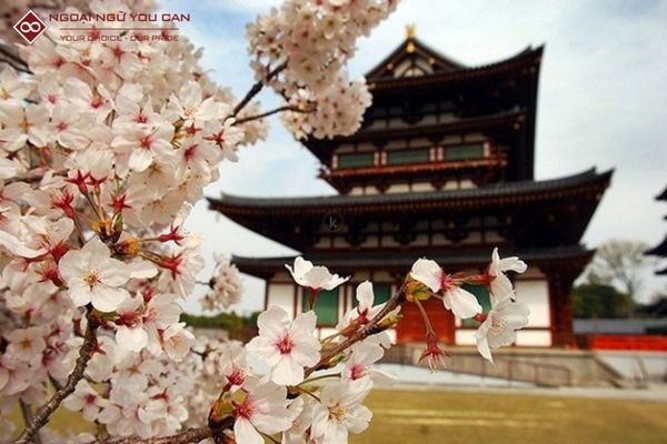 Hình ảnh minh họa cho việc học tập và thi TOPIK