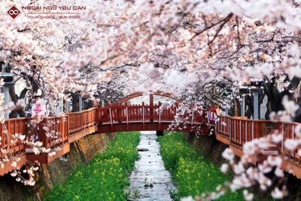 Biểu tượng truyền cảm hứng với thông điệp về sự cố gắng và thành công