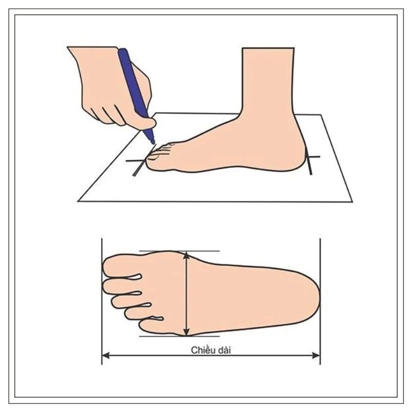 Hướng dẫn đo chân chọn giày
