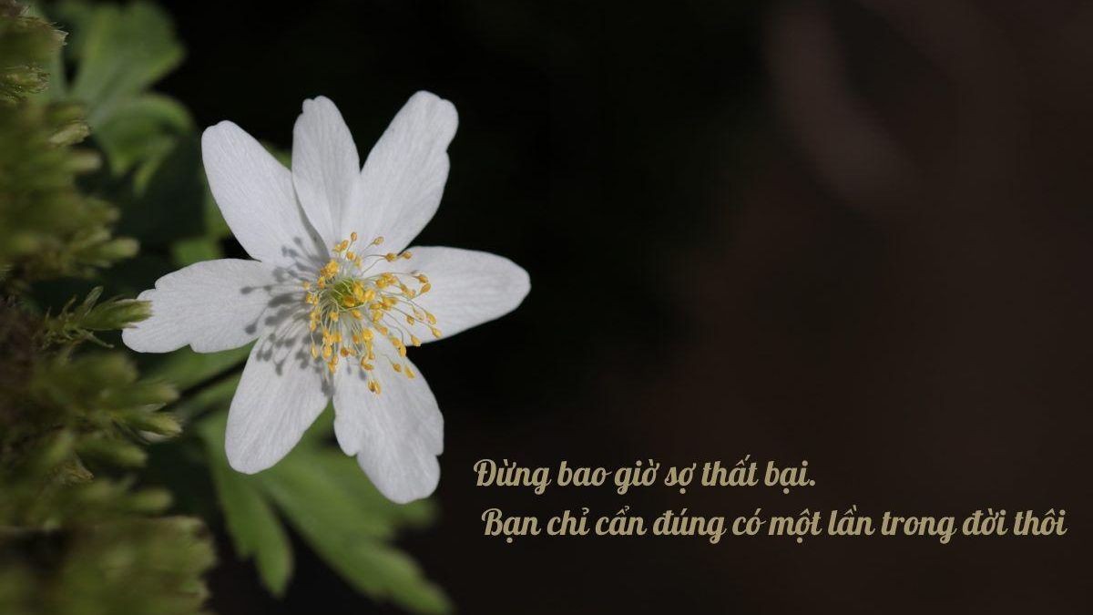 Những câu nói hay về nhân cách sống ngắn gọn