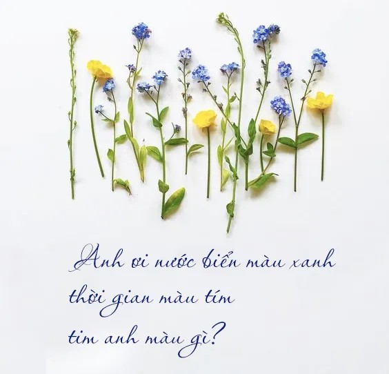 Những câu thơ hay về tình yêu khiến bạn bồi hồi thổn thức 1