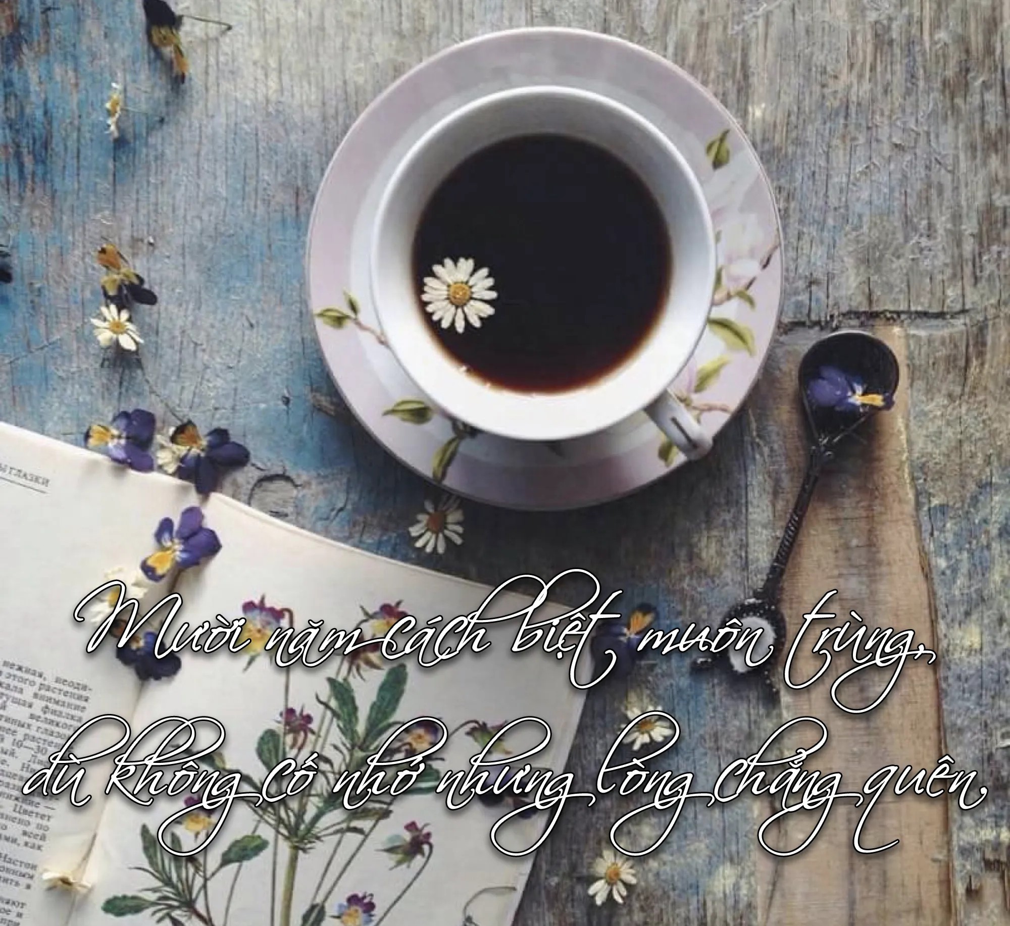 Những câu thơ hay về tình yêu khiến bạn bồi hồi thổn thức 4