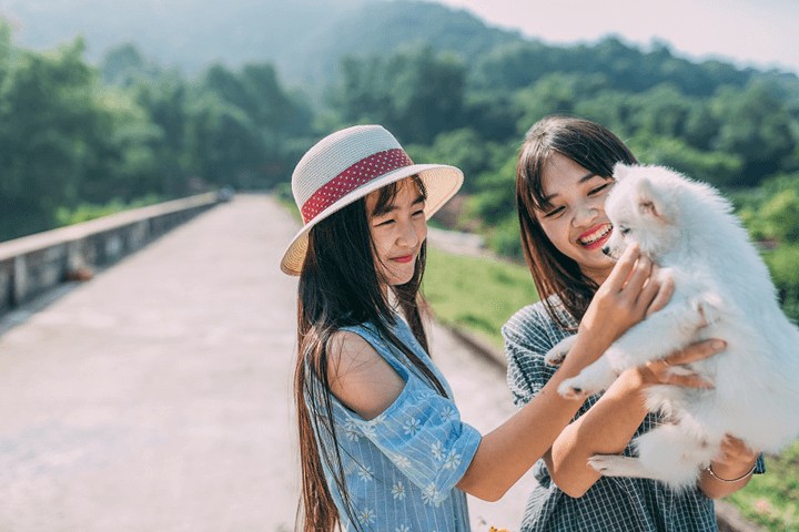 stt chất về tình chị em gái