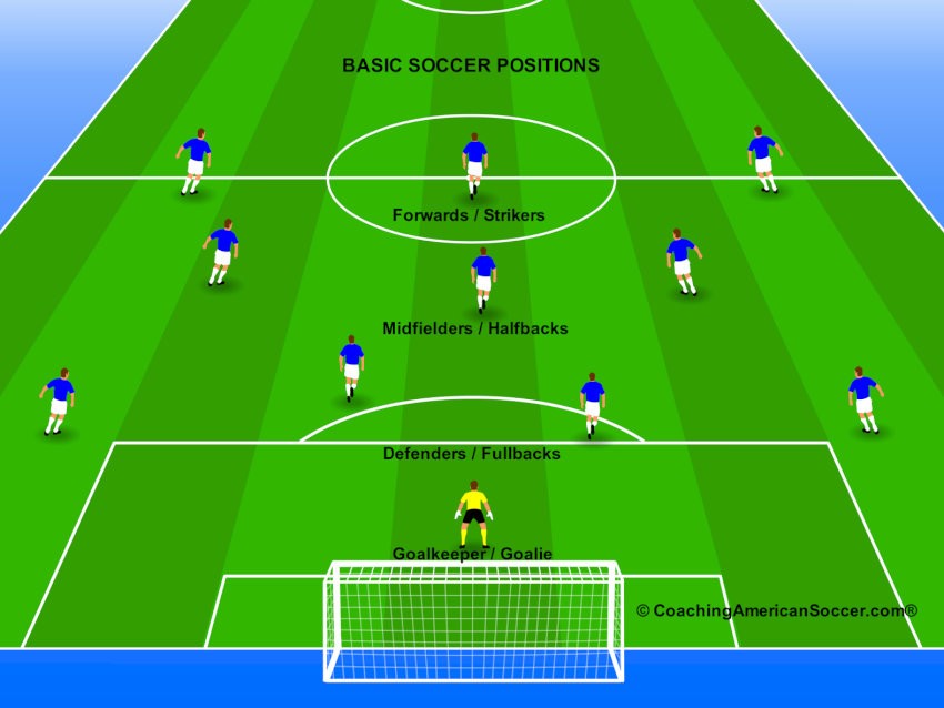 Tiền vệ (Midfielder) là cầu thủ chơi ở khu vực trung tâm sân.