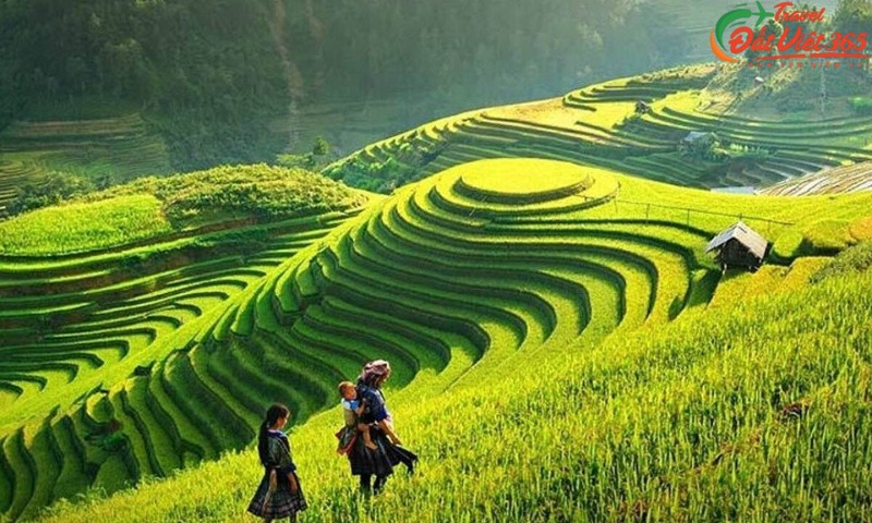 Lên Sapa săn mây, ai ngờ săn luôn cả nắng.