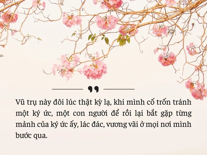 Trích dẫn sách hay về tình yêu