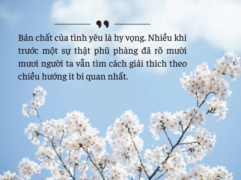 Trích dẫn sách hay về tình yêu