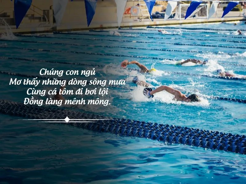 Cảnh mưa rơi trên cánh đồng lúa