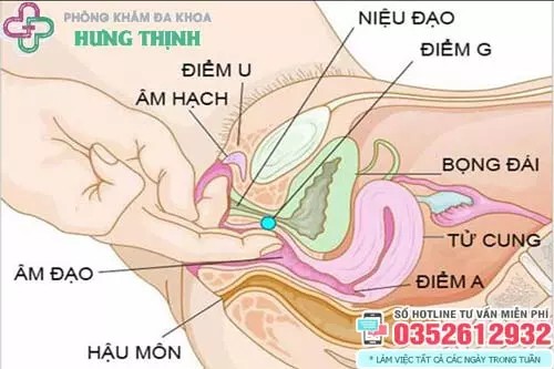 Cảnh sát phong tỏa và khám nghiệm khu vực phát hiện thi thể nạn nhân
