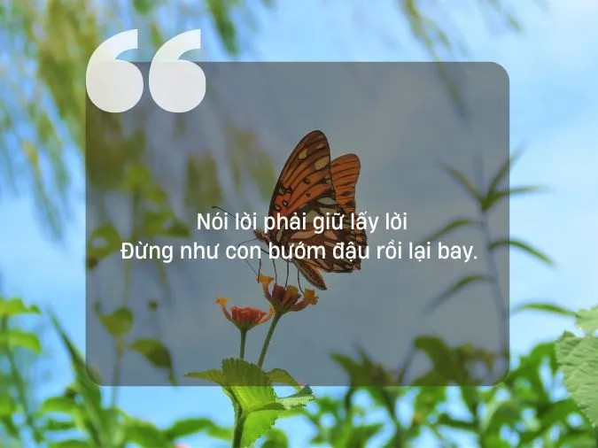 Hình ảnh minh họa cho sự lừa dối