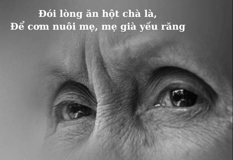 Minh họa người con đang chăm sóc cha mẹ già