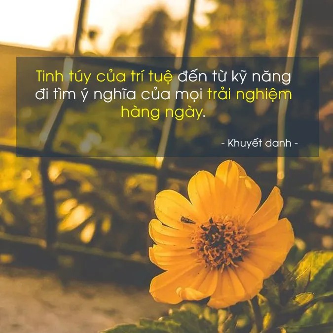 CÃ¢u nÃ³i hay vá» tráº£i nghiá»‡m 2