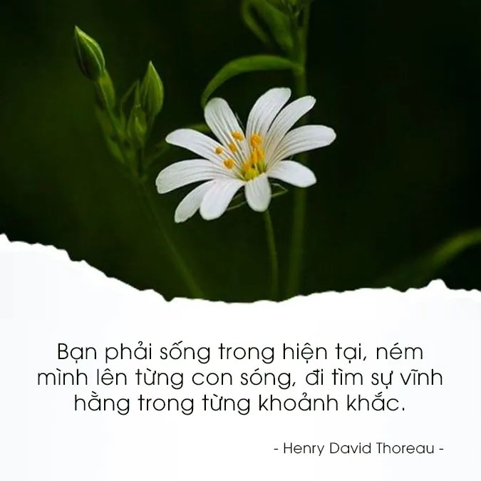 CÃ¢u nÃ³i hay vá» tráº£i nghiá»‡m 3