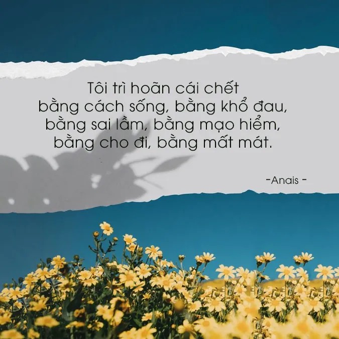 CÃ¢u nÃ³i hay vá» tráº£i nghiá»‡m 4