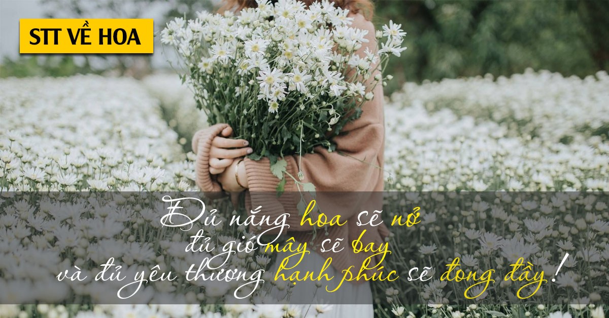 Status về hoa