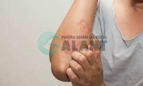 Một cặp đôi đang hôn nhau say đắm