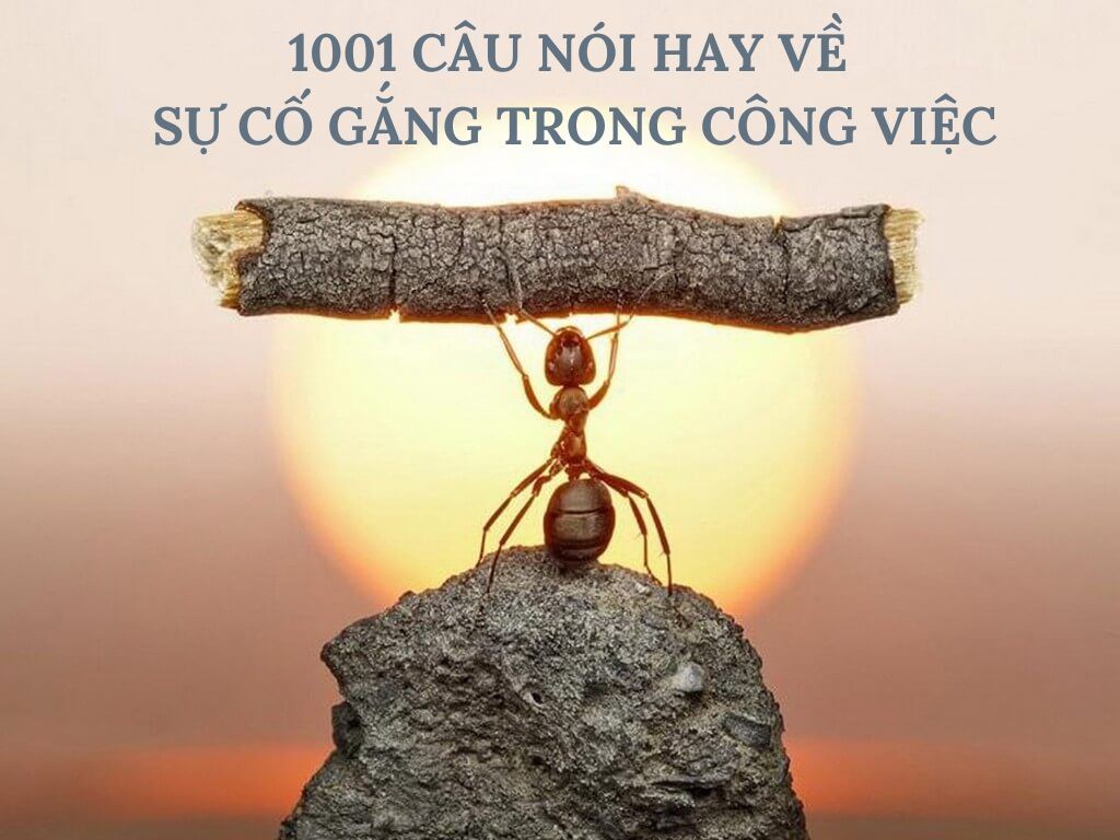 Những khoảnh khắc đẹp trong tình yêu