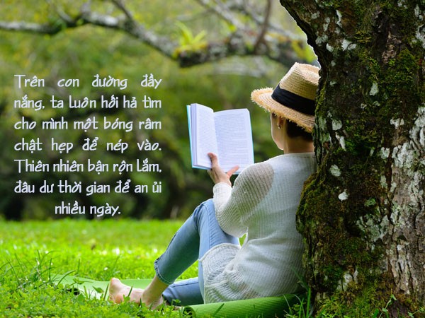 Phong cảnh dòng suối trong rừng với cây cối bao quanh