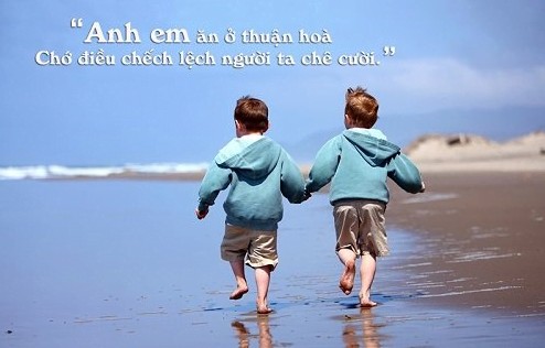 Câu nói hay về anh em ruột thịt trong gia đình