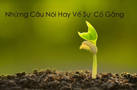 Nỗ lực vượt qua khó khăn trong cuộc sống