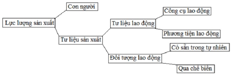 Cấu trúc của lực lượng sản xuất