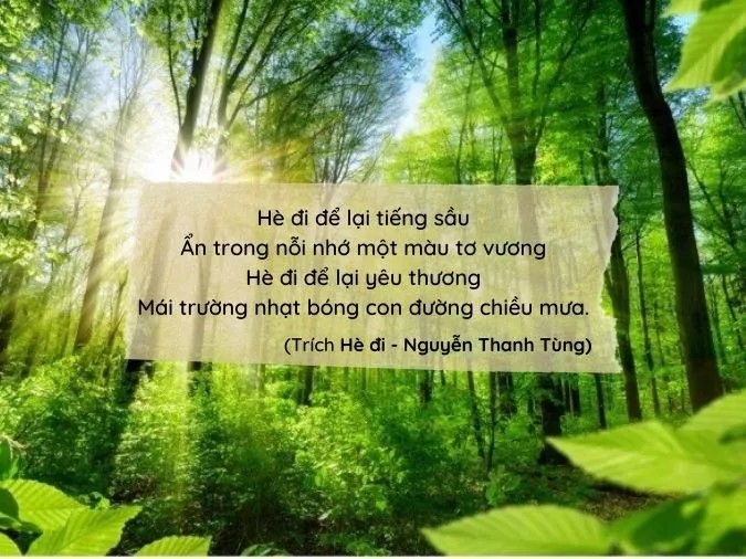 Những vần thơ lục bát 4 câu đầy cảm xúc