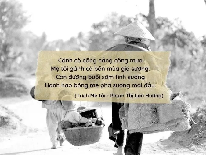 Tình mẹ bao la qua từng câu thơ lục bát