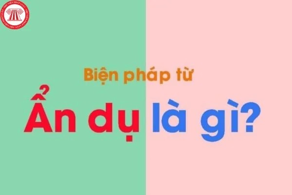 Cảnh quan thiên nhiên với những giọt nước đọng trên lá cây