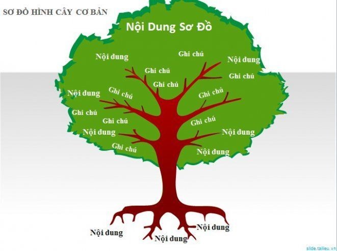 contentso do tu duy hinh cay xanh la gi 1