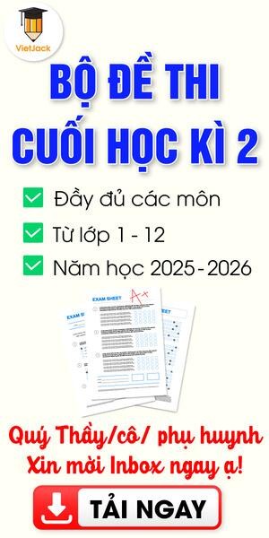 Chiếc mũ lưỡi trai màu xanh lá cây của em