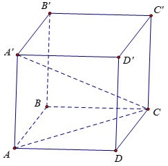 Khối lập phương ABCD.A’B’C’D’