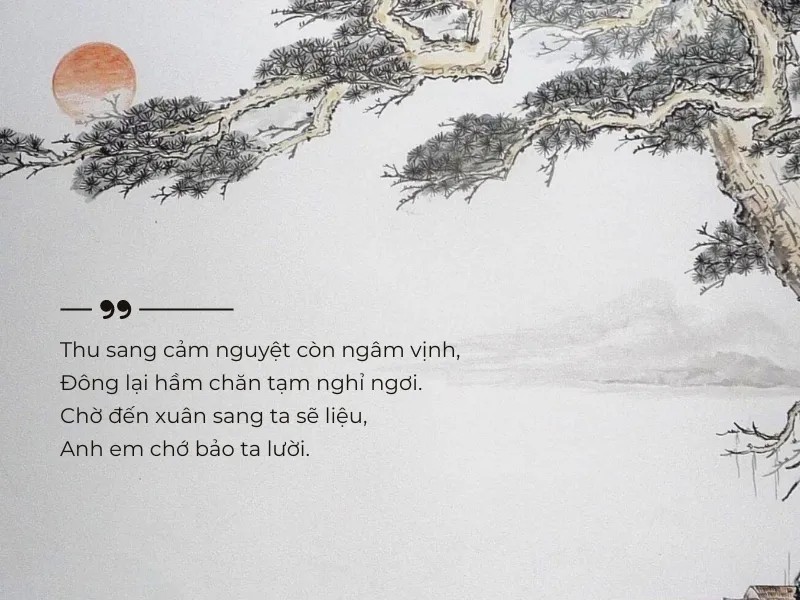 Khoe lười