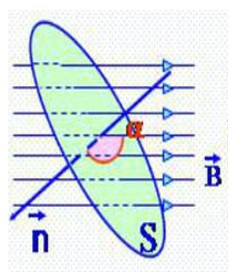 Trường hợp góc vuông