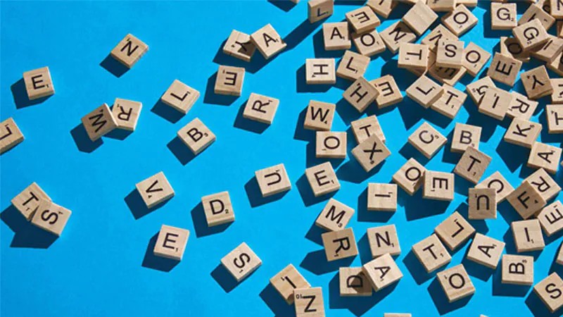 Người đặt câu hỏi và tìm kiếm
