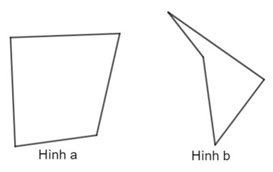 Tứ giác lồi là gì lớp 8 (chi tiết nhất)